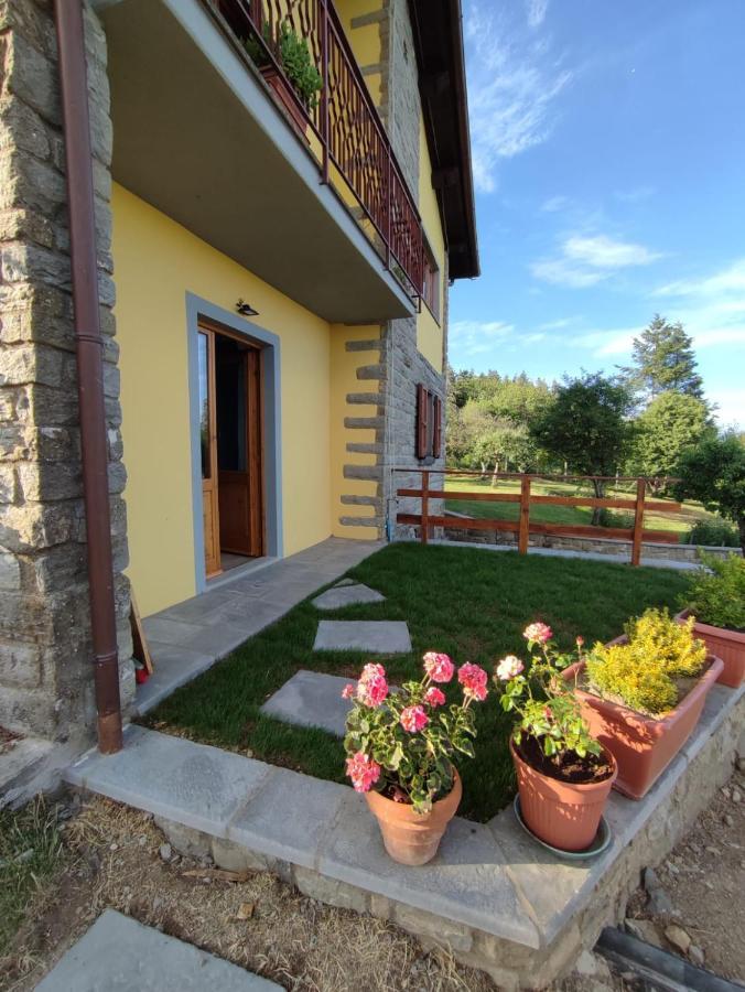 B&B Vista Casentino Pratovecchio Extérieur photo