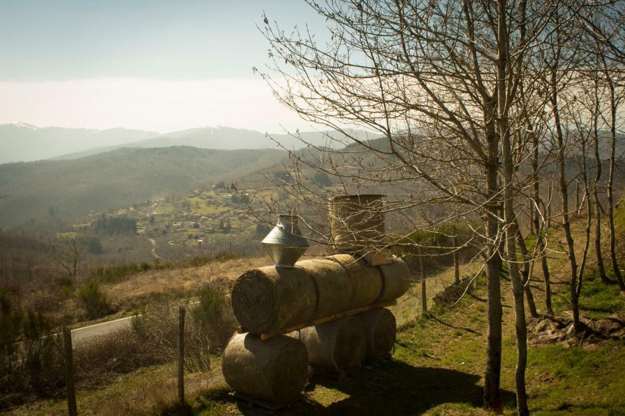 B&B Vista Casentino Pratovecchio Extérieur photo