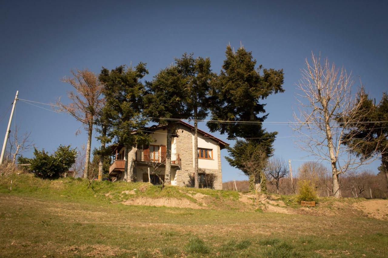 B&B Vista Casentino Pratovecchio Extérieur photo