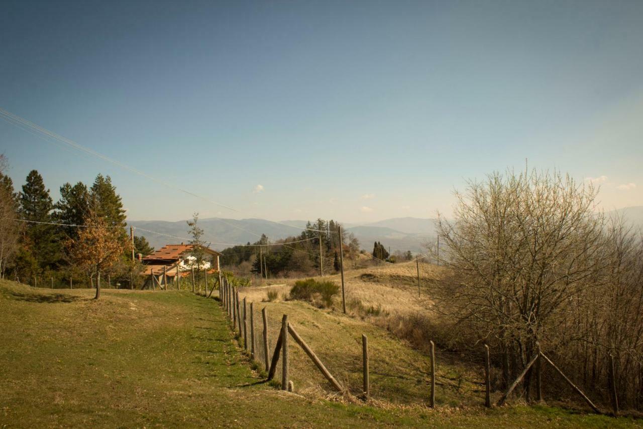 B&B Vista Casentino Pratovecchio Extérieur photo