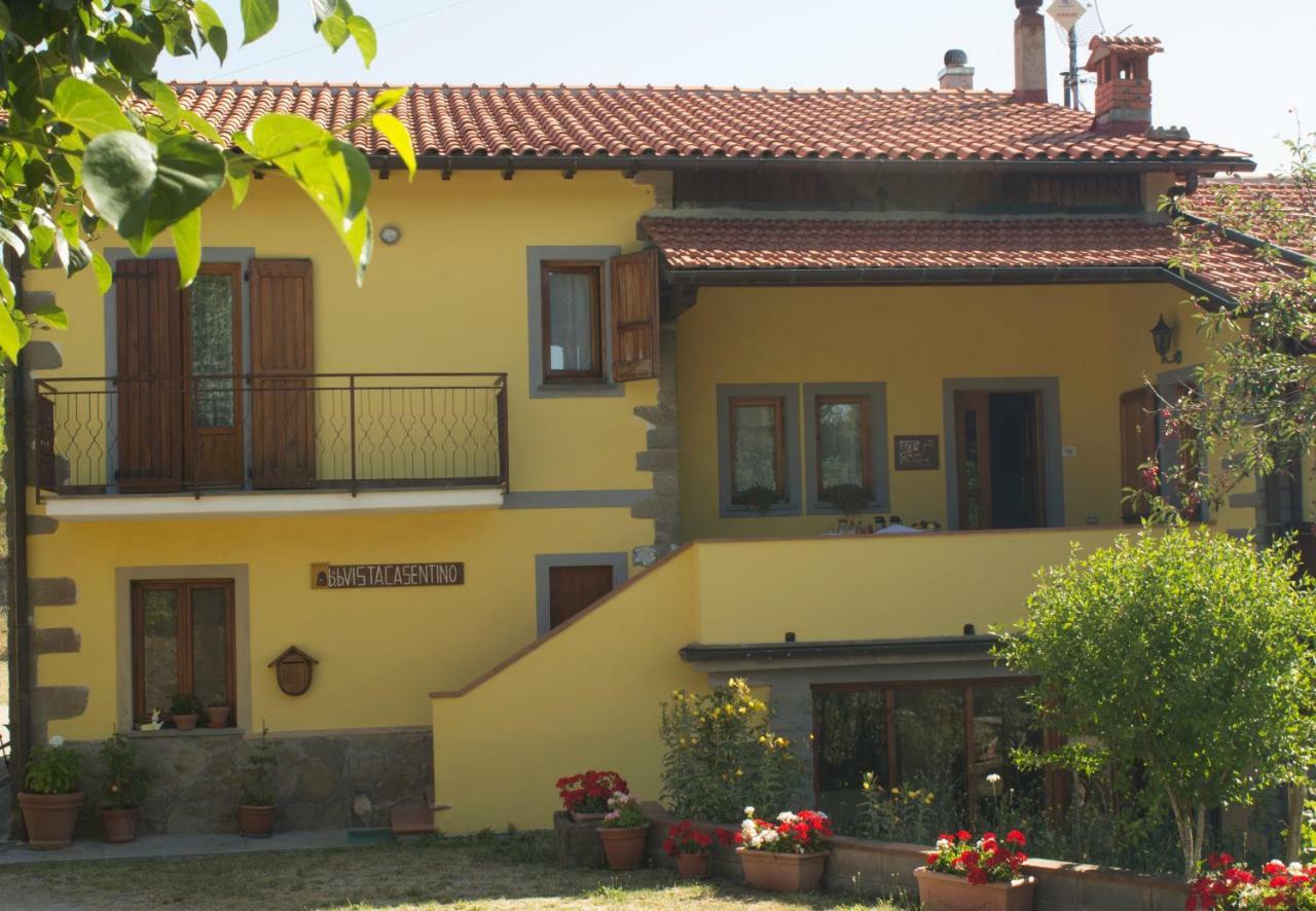 B&B Vista Casentino Pratovecchio Extérieur photo