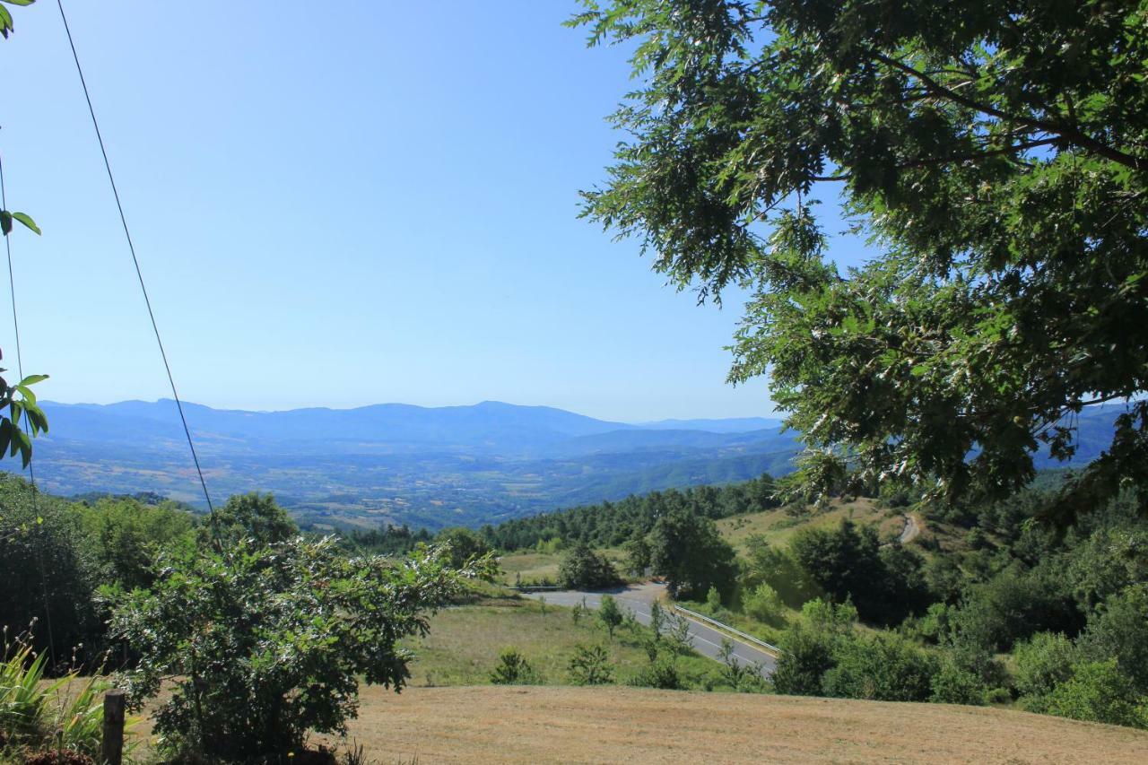 B&B Vista Casentino Pratovecchio Extérieur photo